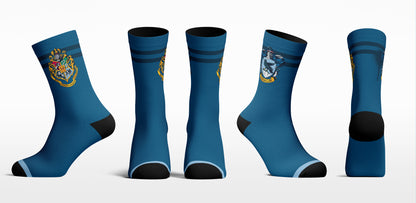 Ravenclaw House