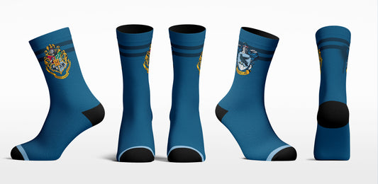 Ravenclaw House