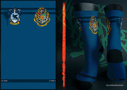 Ravenclaw House