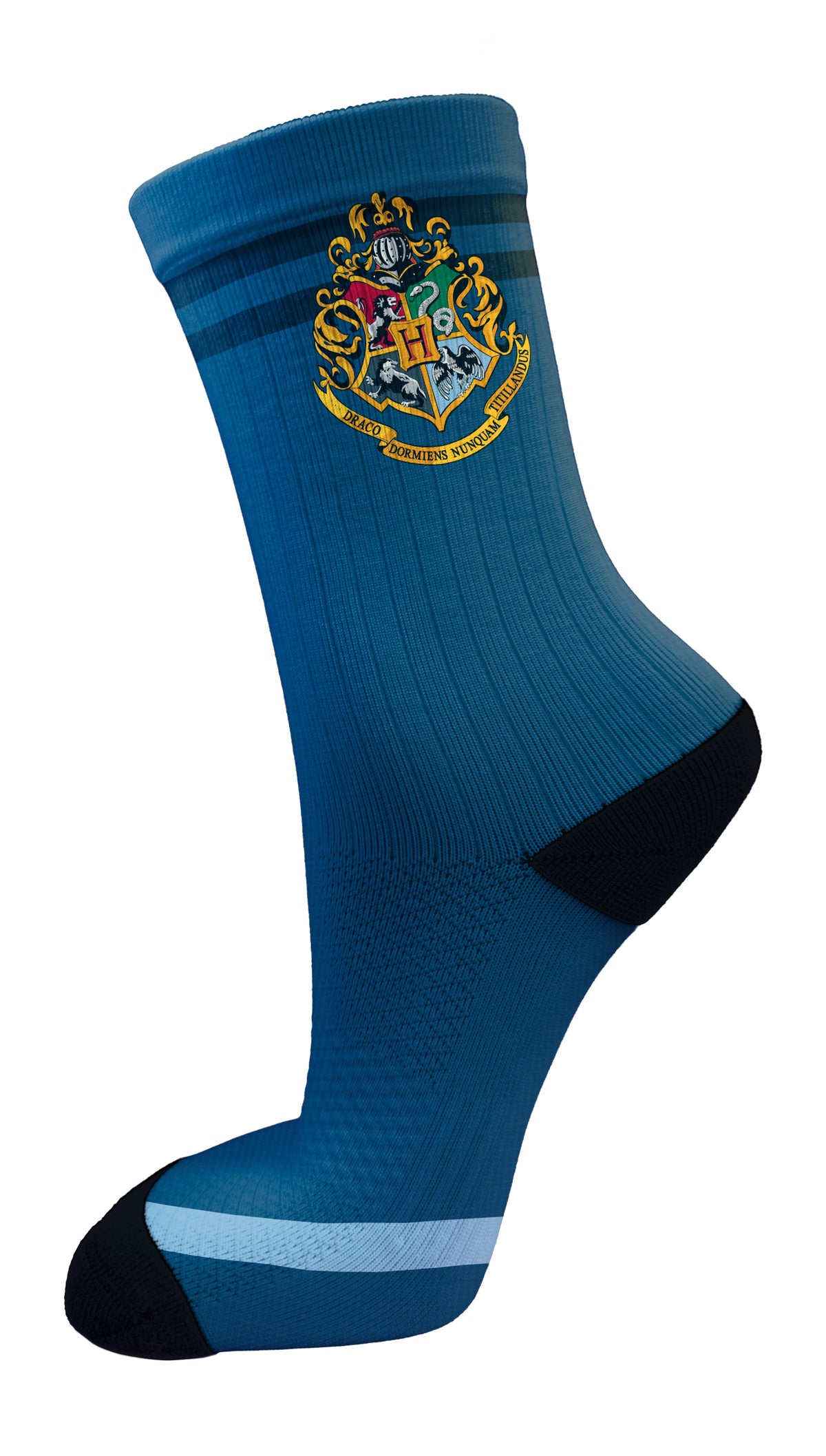 Ravenclaw House
