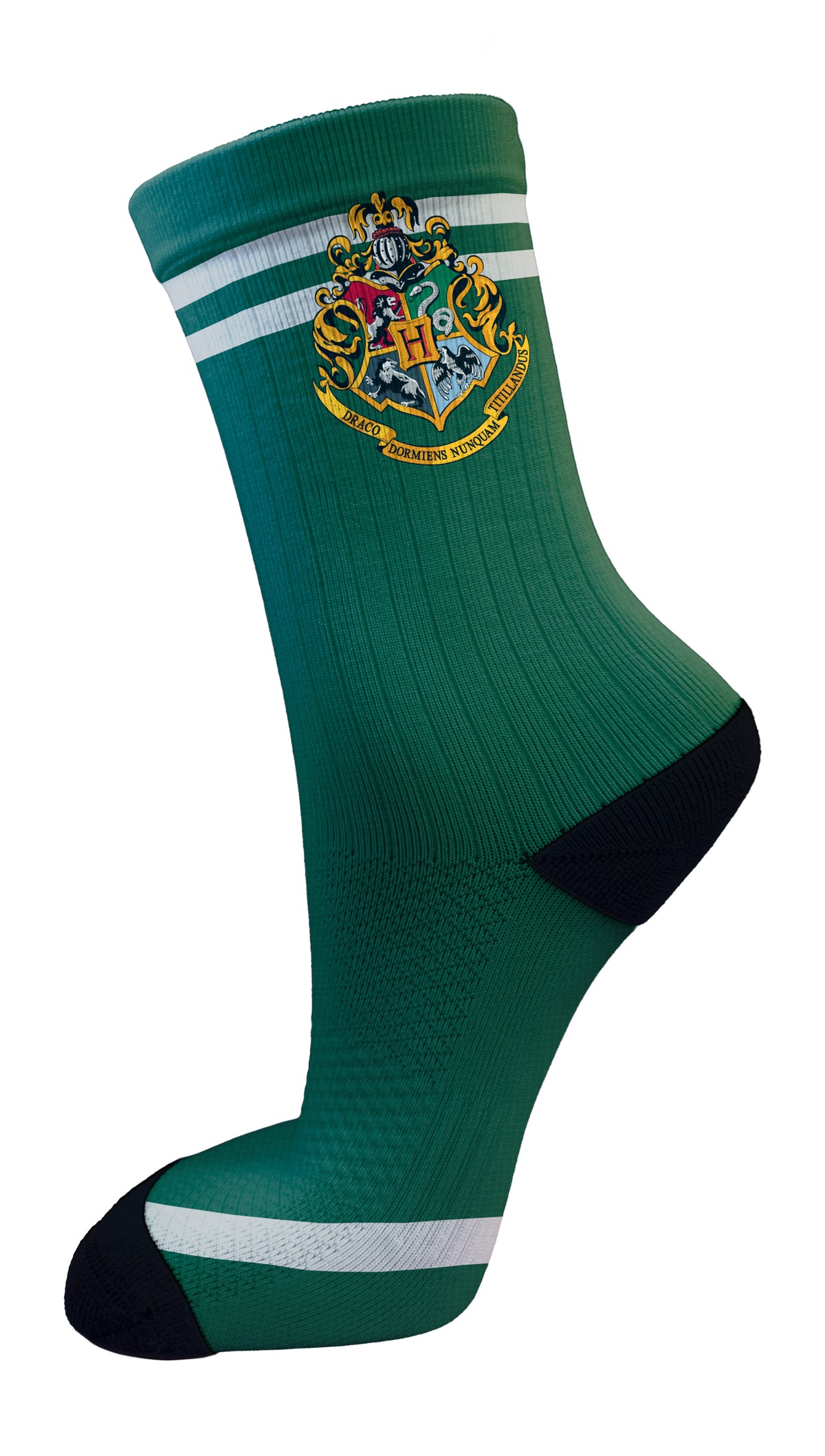 Slytherin House